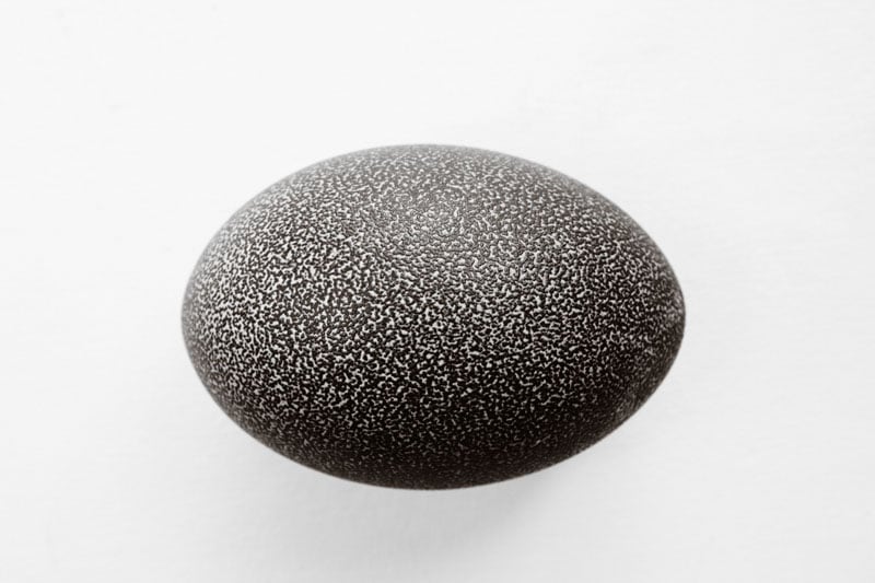 Emu Egg